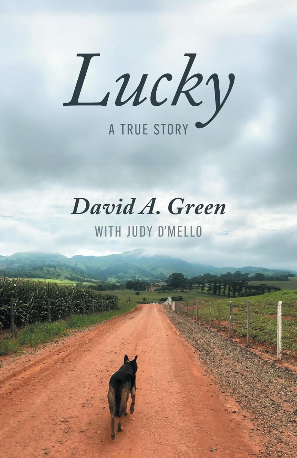 Lucky A True Story Book